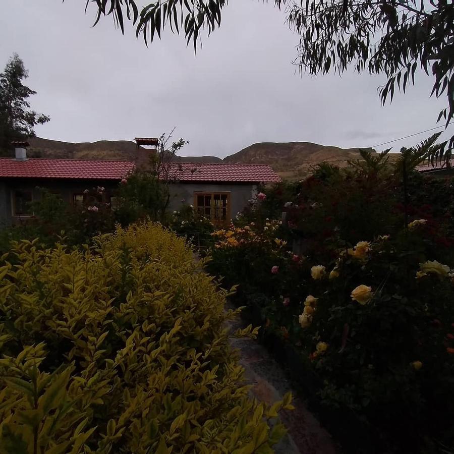 Hostal Vientos Del Altiplano Putre Exterior foto